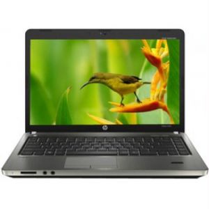 Long-Term Laptop Lease in Delhi Ncr